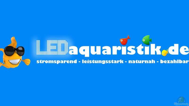 Ein neuer Partner stellt sich vor: LEDaquaristik.de