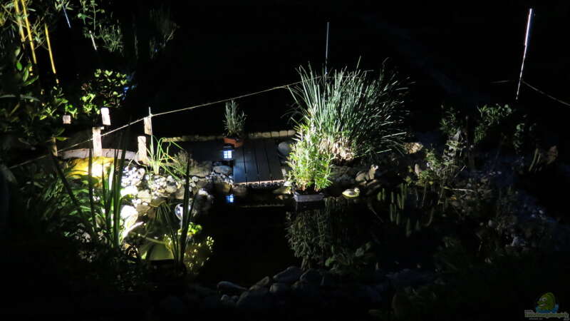 Nachts am Teich: Stimmungsvolle Atmosphäre mit der passenden Beleuchtung schaffen