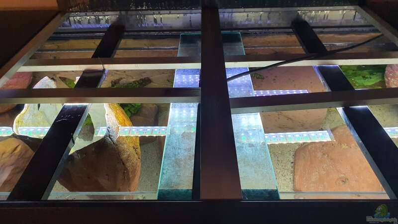 Aquarium Beleuchtung erneuern mit LEDs