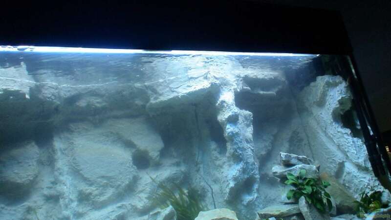 Aquarium Becken 10047 von Tropicmarin (3)