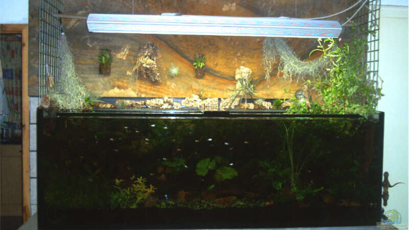 Aquarium Becken 1011 von Mirko Ritter (2)