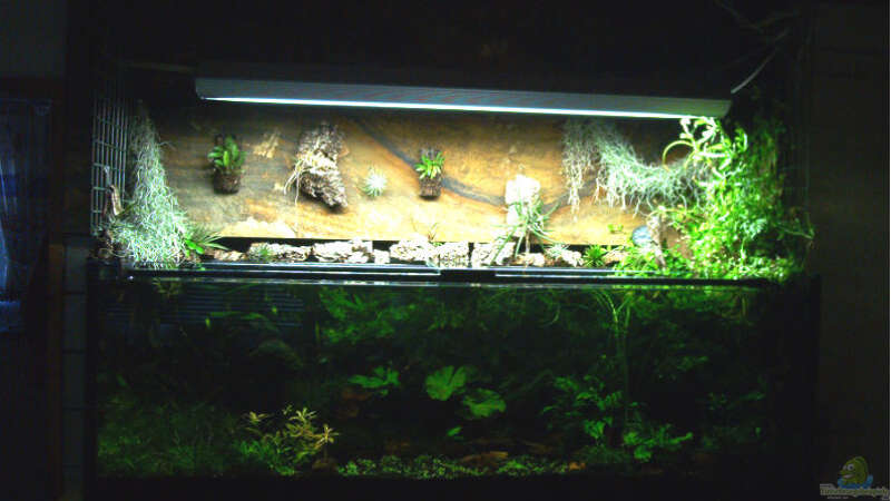 Aquarium Hauptansicht von Becken 1011 von Mirko Ritter (1)