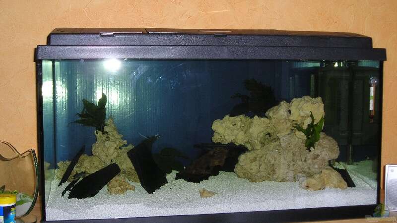 Aquarium Becken 1014 von Bernd Lottholz (2)