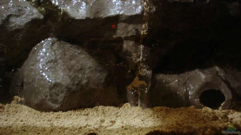 Dekoration im Aquarium Mein Tanganjika (nur noch als Beispiel) von stonis-home (18)