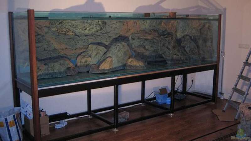 Dekoration im Aquarium Becken 10590 von Wietze Bron (52)