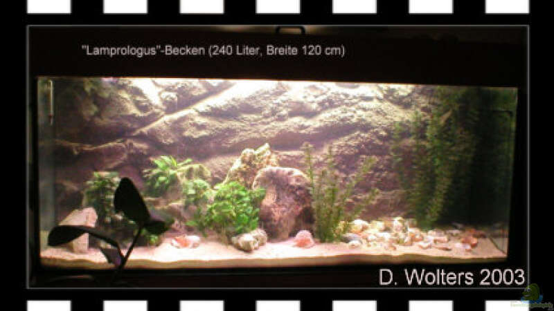 Aquarium Becken 108 von Dirk A. Wolters (2)