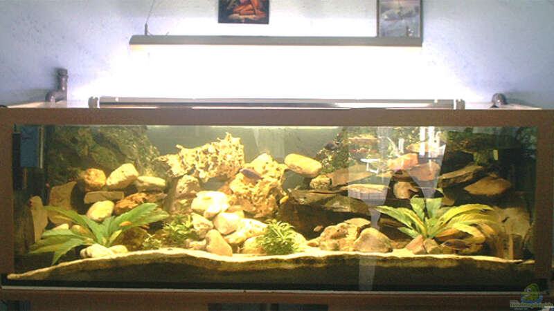 Aquarium Becken 109 von Silvano Erjavec (7)