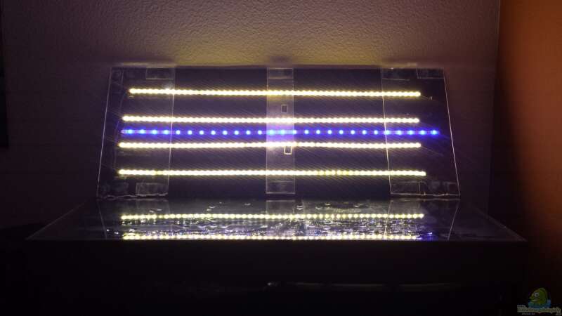 die selbst gebaute LED Beleuchtung auf Plexiglas von Thomas Riemenschneider (30)