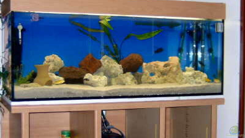 Aquarium Becken 113 von Sascha Kaufmann (2)