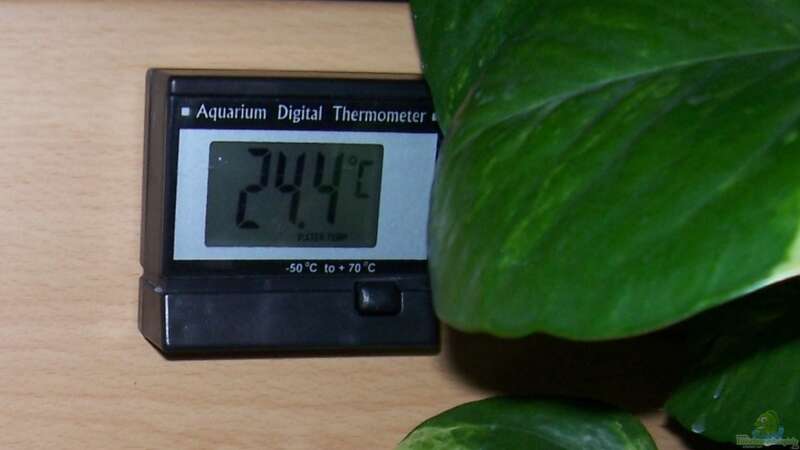 Thermometer von Rene Sarink (17)