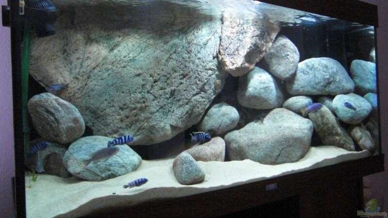 Aquarium Becken 11465 von Andre Walz (4)