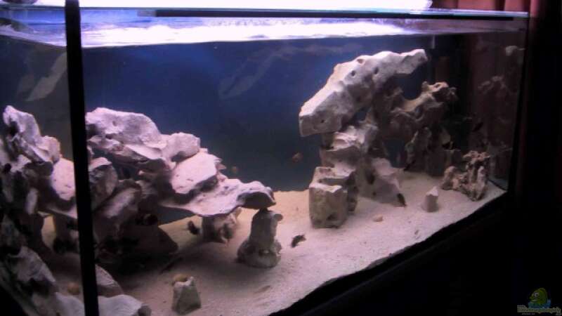 Aquarium Becken 115 von Karsten Garn (3) (14)