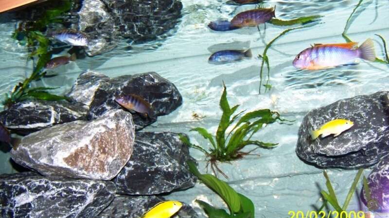 Aquarium Becken 11628 von rolli174 (5)