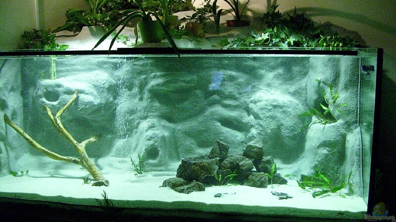 Aquarium Becken 11631 von Andre Rohde (10)
