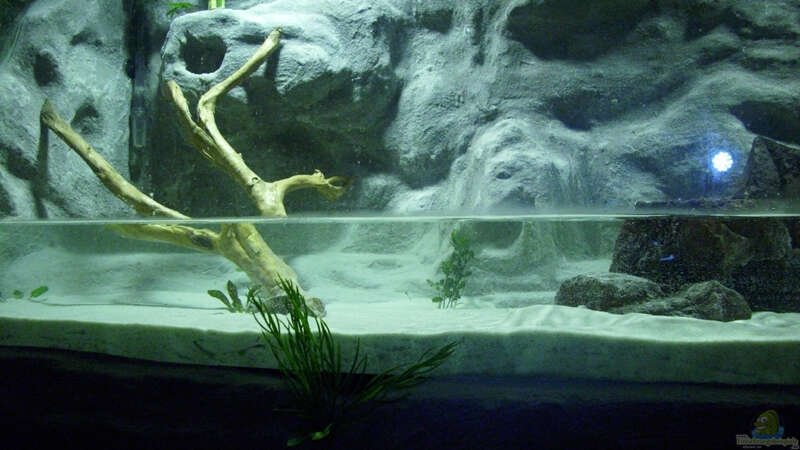 Aquarium Becken 11631 von Andre Rohde (9)