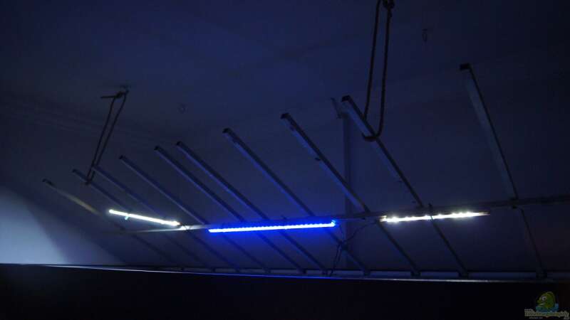 Anordnung der neuen LED-Lampen von Oeli (20)