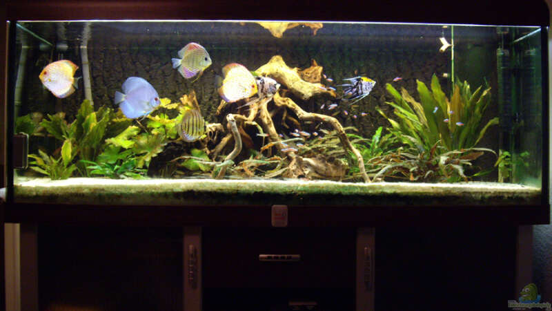 Aquarium Becken 12579 von Franky Lunatic (5)