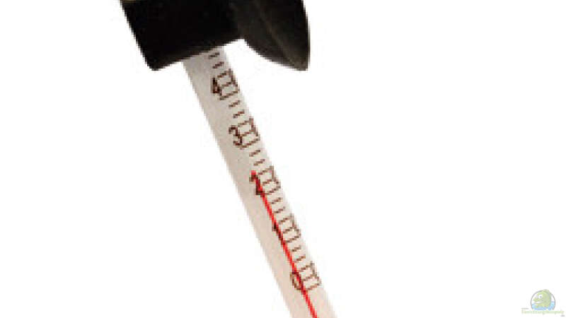 Dennerle Nano Therm - Thermometer für Mini-Aquarien von @mazonas (43)