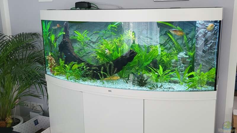 Aquarium Hauptansicht von JUWEL Vision 450 Liter von Thorsten Schreiner