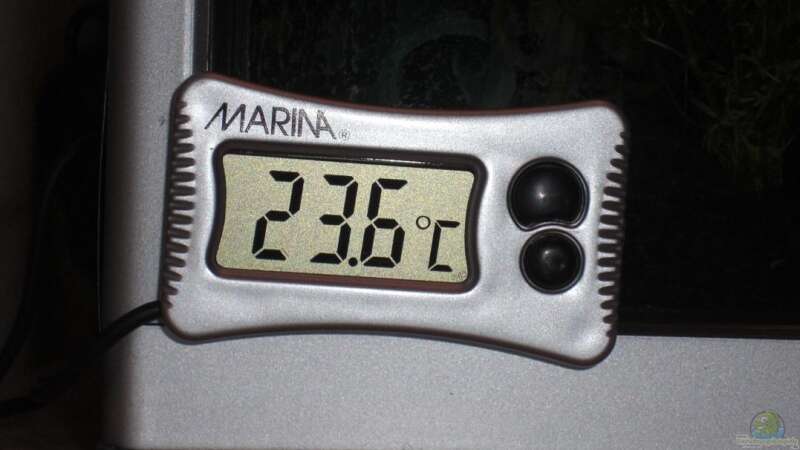 digitales Thermometer von Malawi TOM (37)