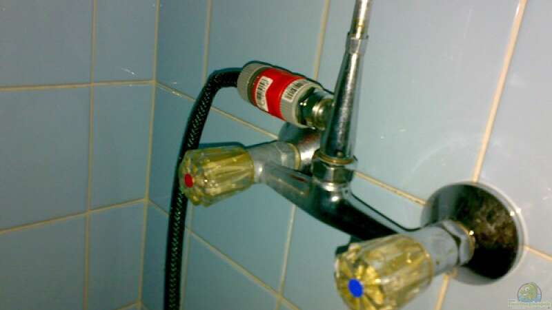 Meine Dusche mit Gardena-Schlauchanschluss für den Wasserwechsel. Ja, ich hab Baby-Blaue von Amazonasbecken.eu (27)