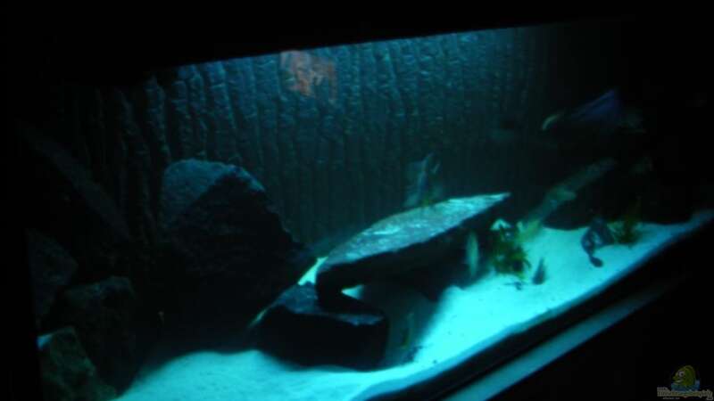 Aquarium Kaiser Biotop von Dt-Floppy (12)