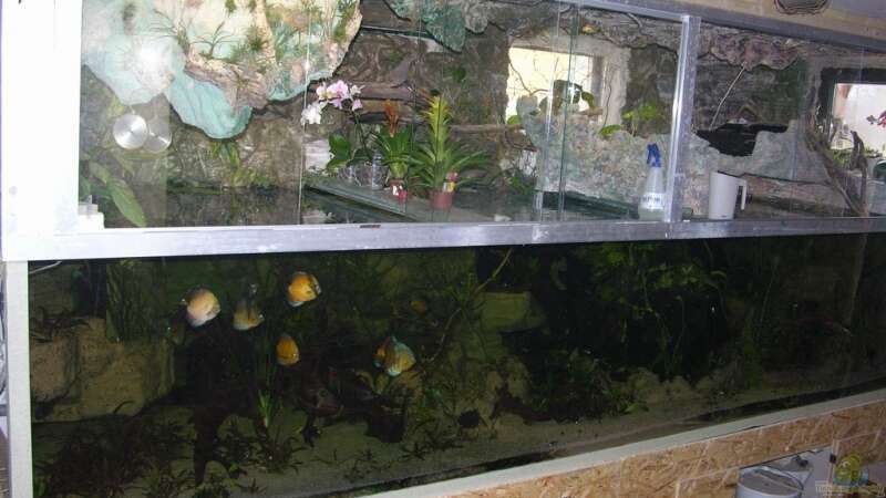 Aquarium Becken 13562 von dornwels (3)