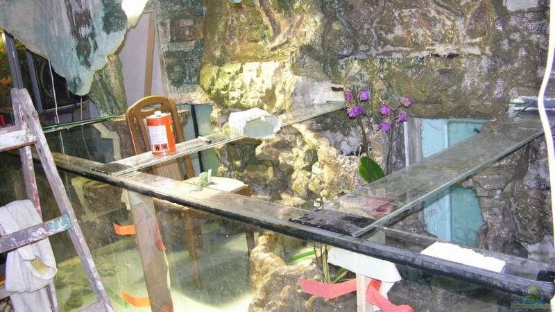 Dekoration im Aquarium Becken 13562 von dornwels (37)