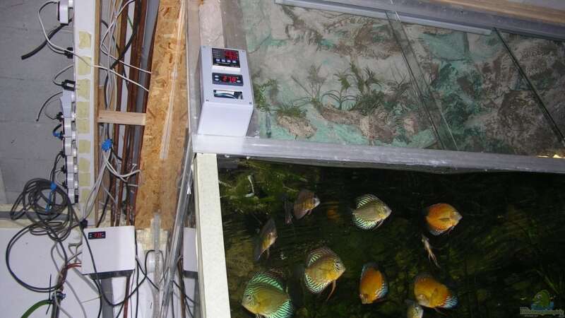 Technik im Aquarium Becken 13562 von dornwels (40)