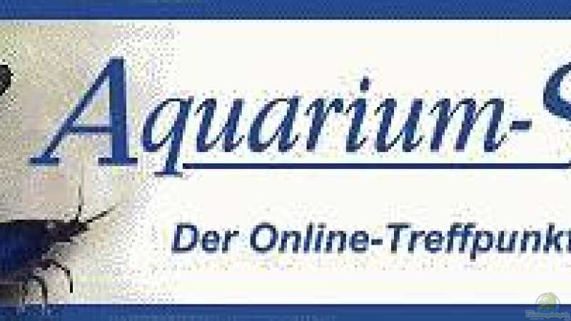 http://www.aquarium-stammtisch.de/Forum/photoplog/index.php?do=view von Holger Rauhe (5)