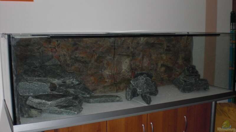 Dekoration im Aquarium Malawitank von pennywise (15)