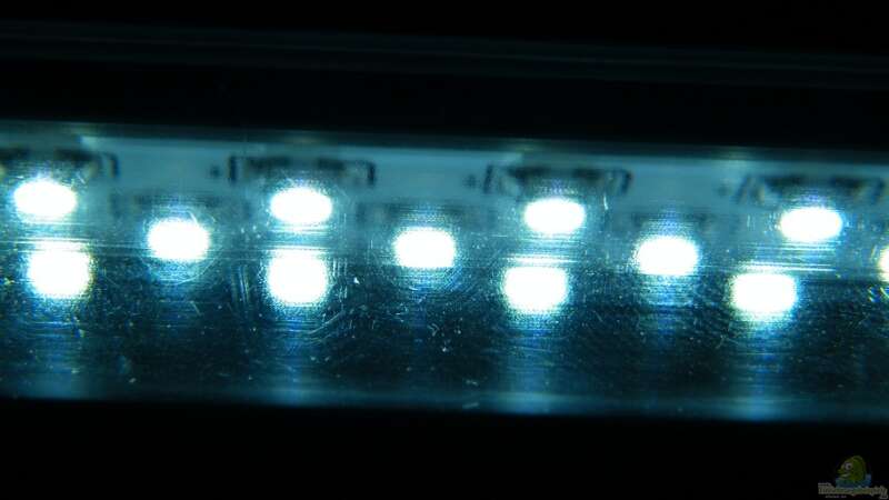 150cm LED Leuchtstoffröhren mit 450 LED´s 2x im Betrieb von Diskus-Freak®aka Benny&Anja (35)