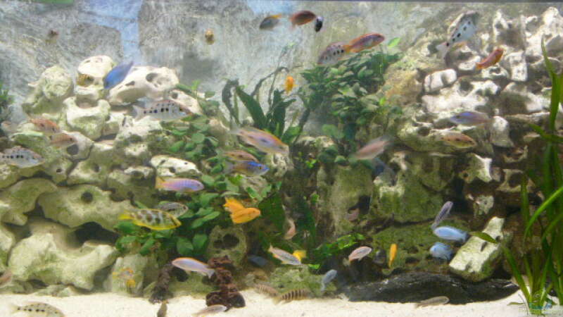 Aquarium Becken 1388 von Mario Jungnitsch (5)