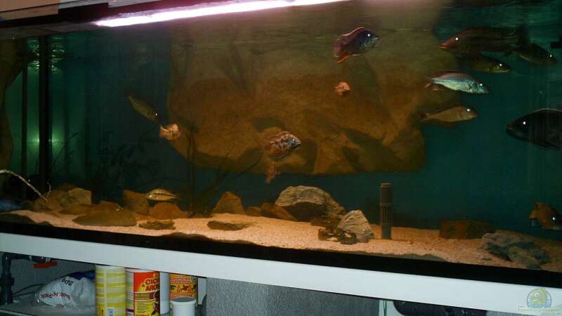 Aquarium Hauptansicht von Becken 14013 von Ronny Laumer (1)