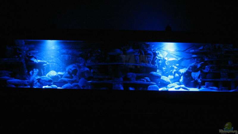 Aquarium Atlantis von LaEy (5)