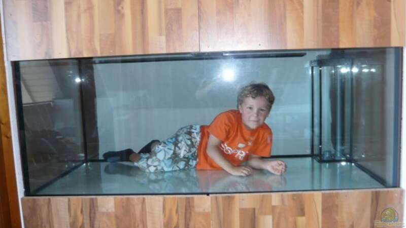 Aquarium Piranha Becken von lumpi (4)