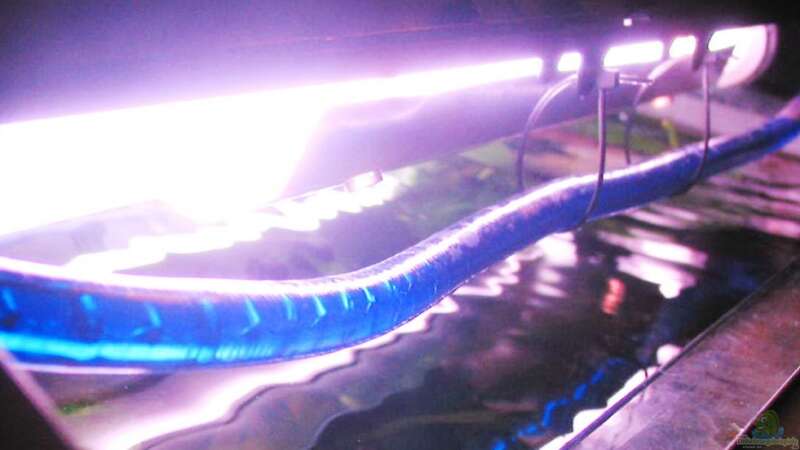 LED-Schlauch in der Aquariumabdeckung von mawa (4)