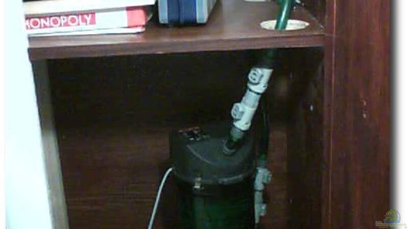 Aussenfilter im Unterschrank von ehemaliger User (5)