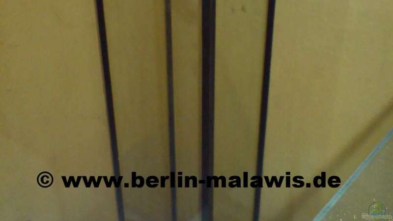 EB 16 L Rieselfilterschacht leer von *www.berlin-malawis.de* (3)