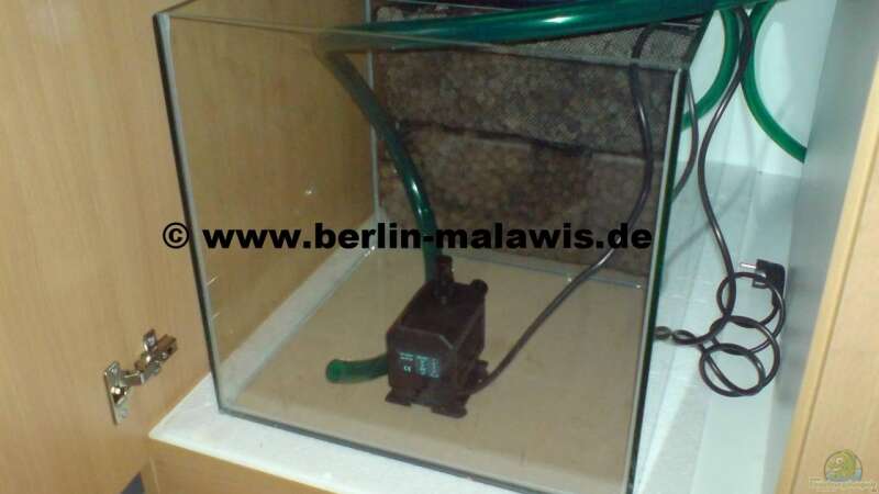 EB Klarwasserkammer mit Pumpe von *www.berlin-malawis.de* (10)
