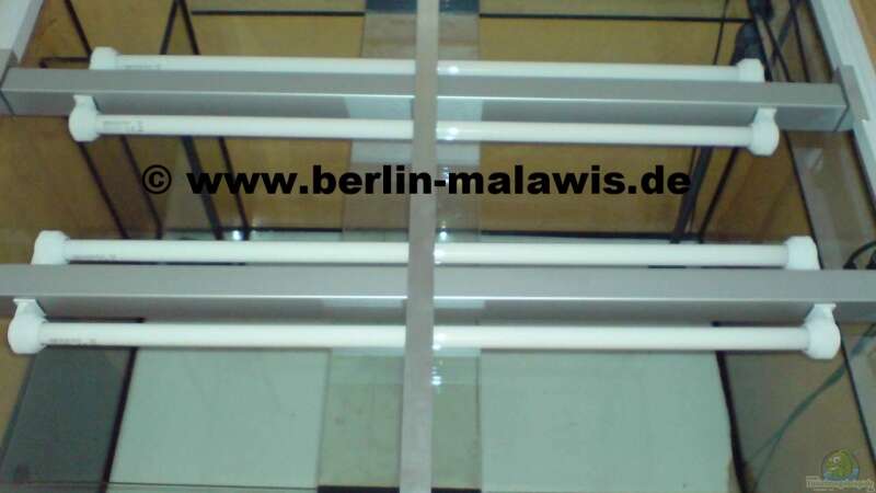 EB Oberansicht mit 2 Leuchtbalken von *www.berlin-malawis.de* (11)