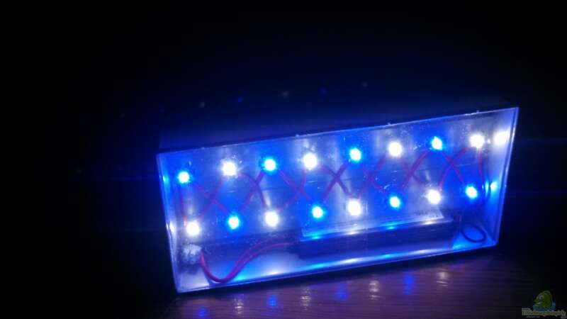 Bau der LED Leuchte von Moepple (17)