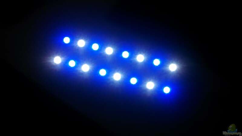 Bau der LED Leuchte von Moepple (8)