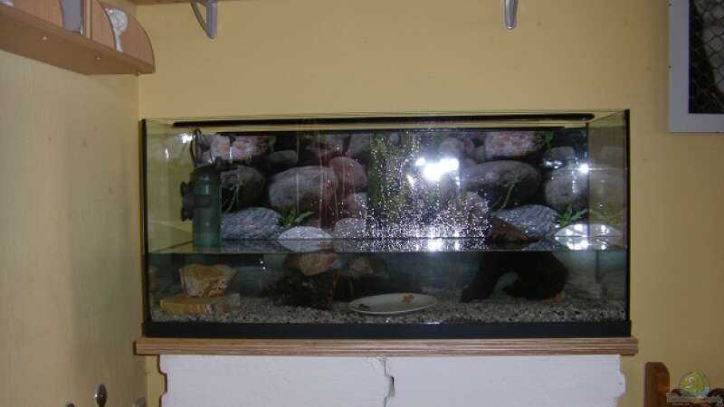 Aquarium Becken 15088 von Miri (3)