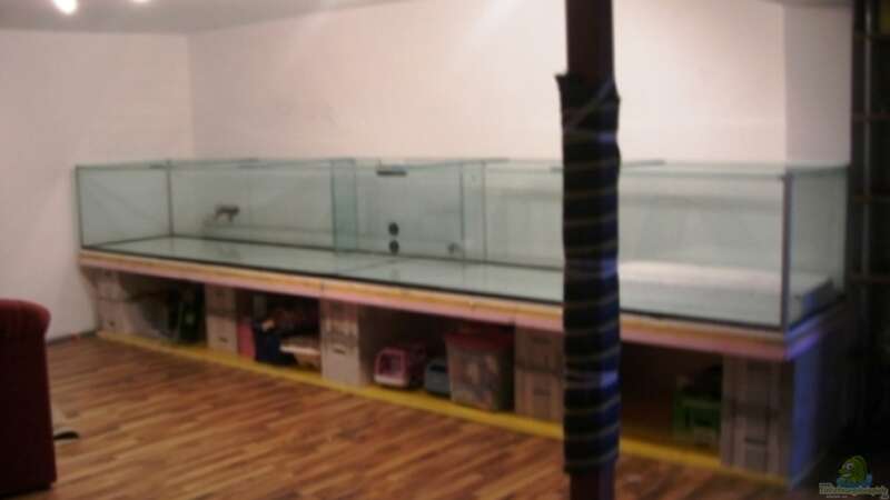 Mein Aquarium 5m von Zornrocco (1)