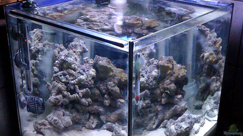 Aquarium NanoReef von Hai Dang Ngo (3)