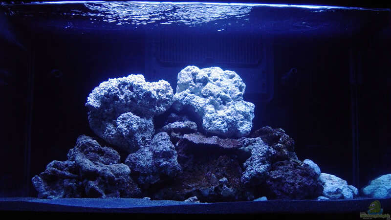Aquarium Hauptansicht von A Piece of Reef Obsolete von The_Lizardking (1)