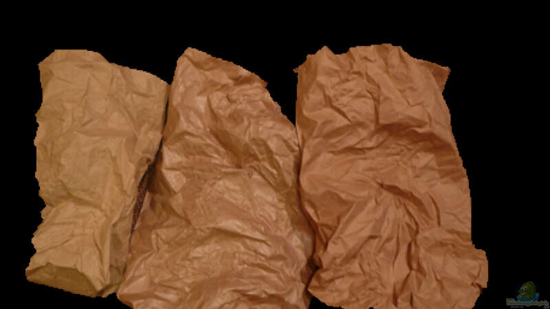 Eine Rückwand in Sandsteinoptik aus zuknüllten Papiertüten von Cichlid Power (12)