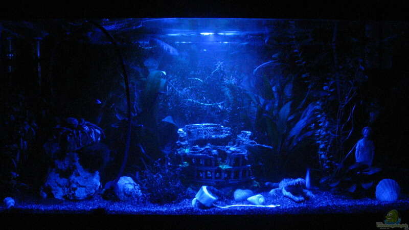 Aquarium bei Nacht mit Mondlicht! von -=[F.i.p.s.]=- (2)