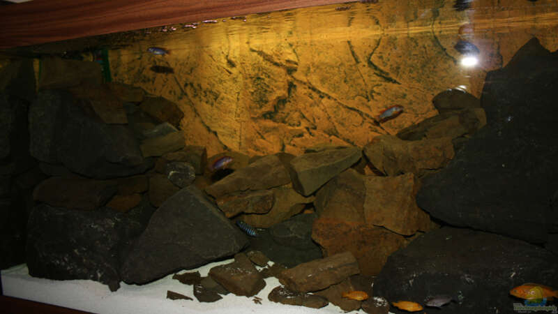 Dekoration im Aquarium Becken 16059 von MuBu (15)